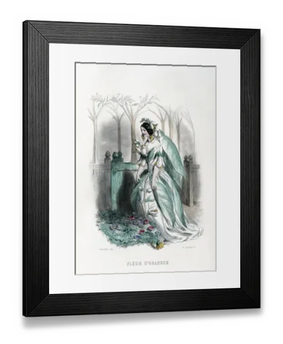 Framed Print : Grandville Orange Blosso Framed Print : Grandville Orange Blosso
