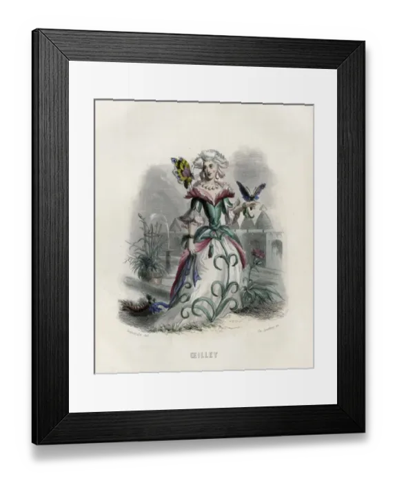 Framed Print : Grandville Carnation Framed Print : Grandville Carnation