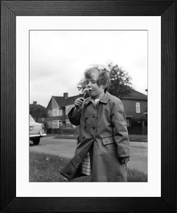 Framed Print : Girl Blows Dandelion Framed Print : Girl Blows Dandelion