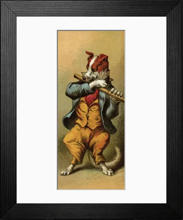 Framed Print : Mother Hubbard / Flute Framed Print : Mother Hubbard / Flute