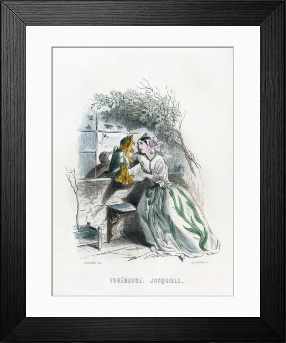 Framed Print : Tubereuse, Jonquille Framed Print : Tubereuse, Jonquille
