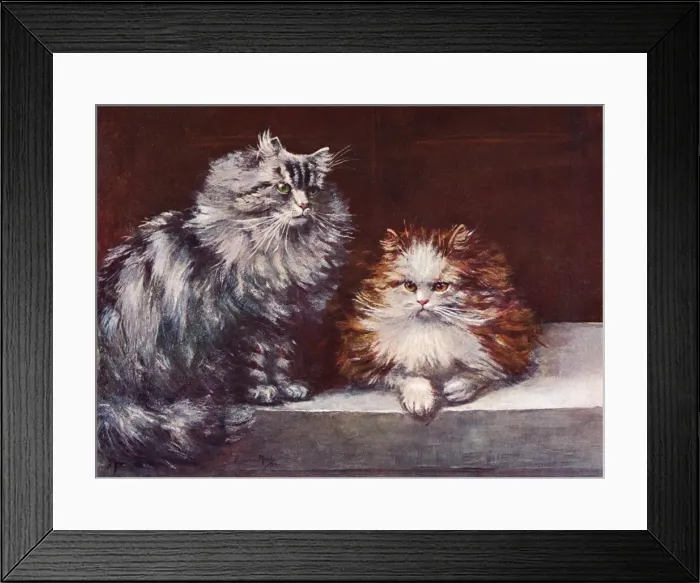 Framed Print : Tabby / Orange Persians Framed Print : Tabby / Orange Persians