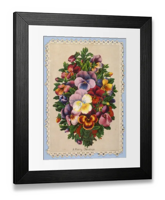 Framed Print : Decorative Plants Framed Print : Decorative Plants