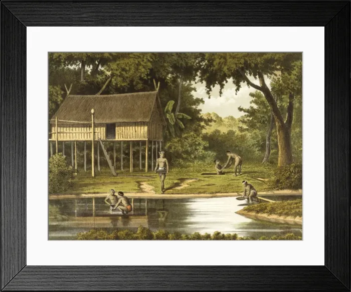 Framed Print : Diamond Hunting / Borneo Framed Print : Diamond Hunting / Borneo