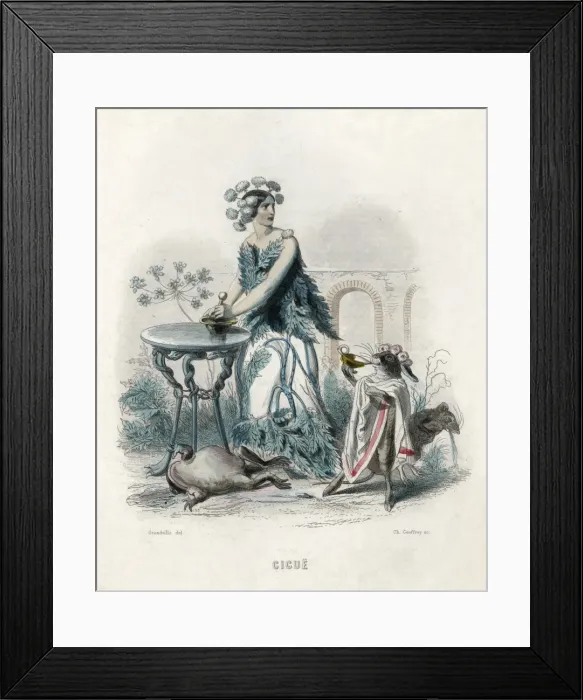 Framed Print : Grandville Hemlock 1847 Framed Print : Grandville Hemlock 1847