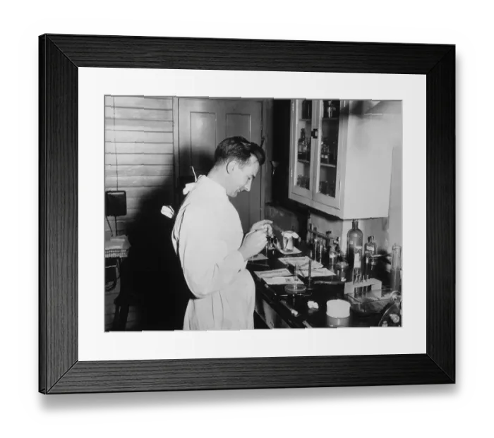 Framed Print : Preparing Lab Slide 50S Framed Print : Preparing Lab Slide 50S