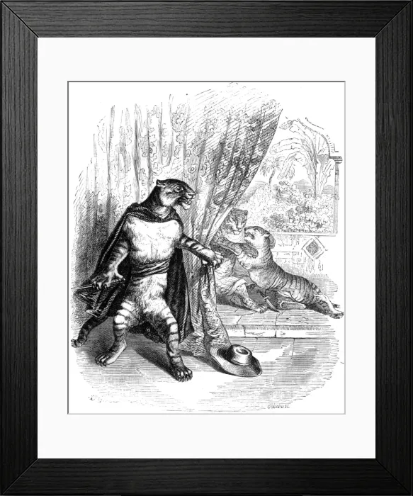 Framed Print : Humanised tiger in the role of a stage hero Framed Print : Humanised tiger in the role of a stage hero