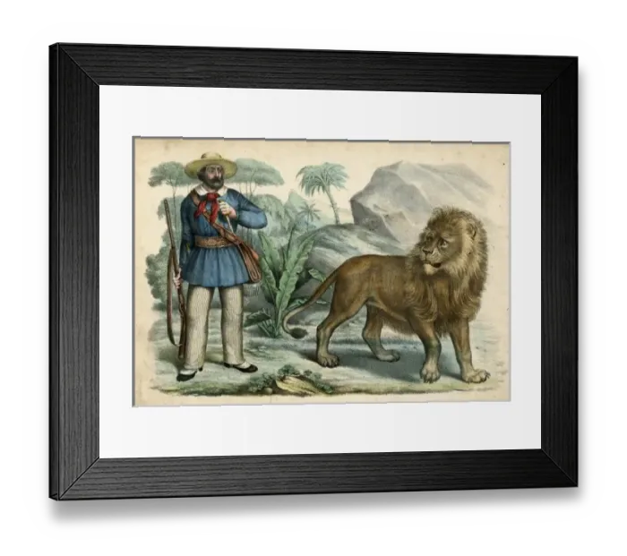 Framed Print : Hunter and Daring Lion