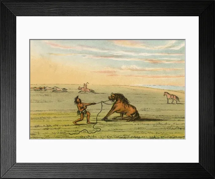 Framed Print : Racial / Wild Horse C1830 Framed Print : Racial / Wild Horse C1830