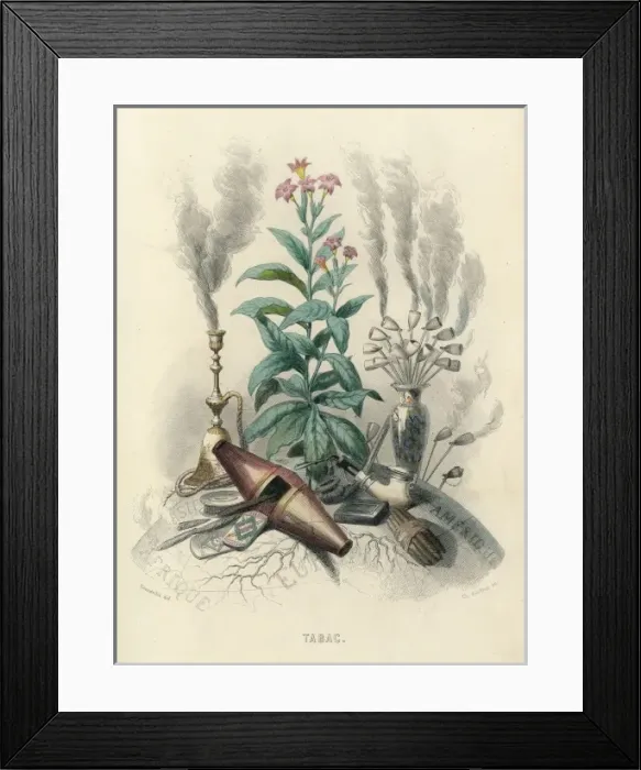 Framed Print : Grandville Tobacco 1847 Framed Print : Grandville Tobacco 1847