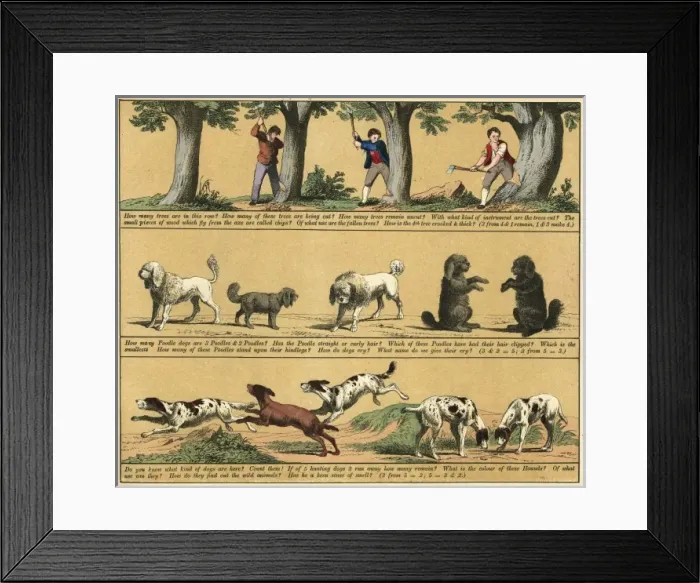 Framed Print : TEXTBOOK / 1880 / PLATE 11 Framed Print : TEXTBOOK / 1880 / PLATE 11