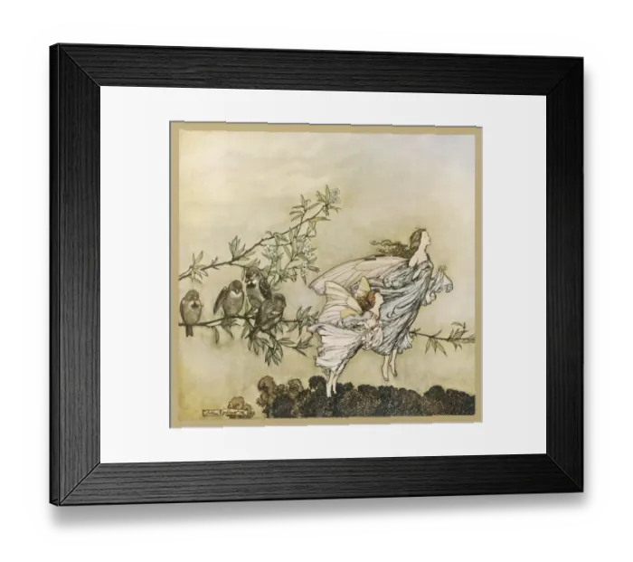 Framed Print : TWO FLYING Framed Print : TWO FLYING