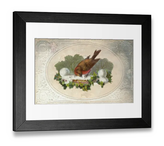 Framed Print : Robin on Wall Framed Print : Robin on Wall