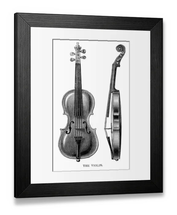 Framed Print : Violin on its Own Framed Print : Violin on its Own