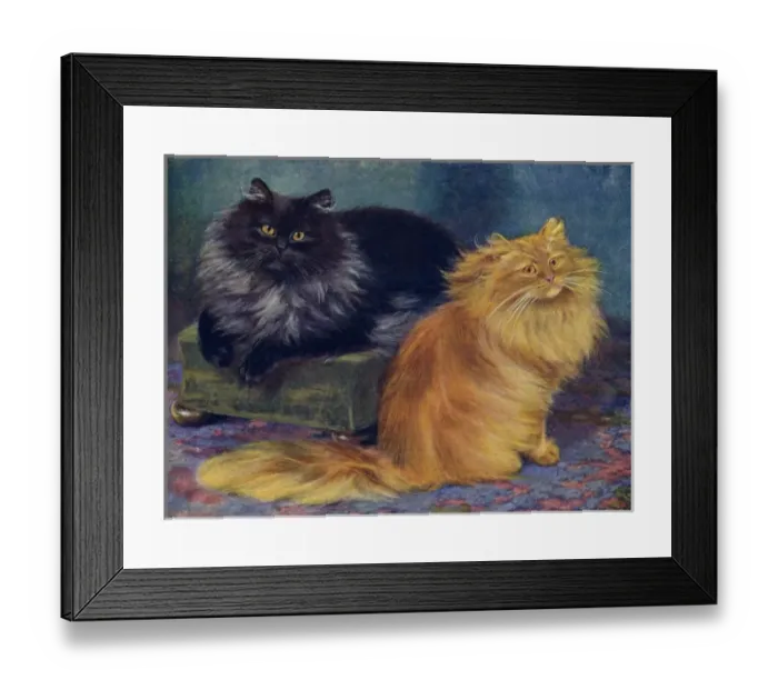 Framed Print : Smoke / Orange Persians Framed Print : Smoke / Orange Persians
