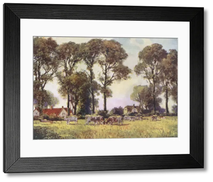 Framed Print : Letchworth / Pastoral 1913 Framed Print : Letchworth / Pastoral 1913