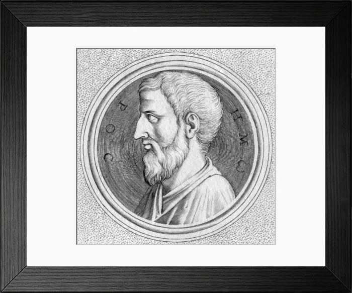 Framed Print : Homer (Medal) Framed Print : Homer (Medal)