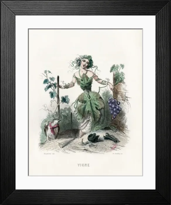 Framed Print : Vine Personified Framed Print : Vine Personified