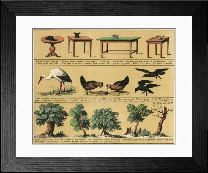 Framed Print : TEXTBOOK / 1880 / PLATE 4 Framed Print : TEXTBOOK / 1880 / PLATE 4