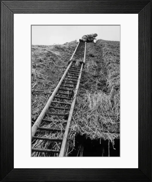 Framed Print : Thatching a Roof / 1957 Framed Print : Thatching a Roof / 1957