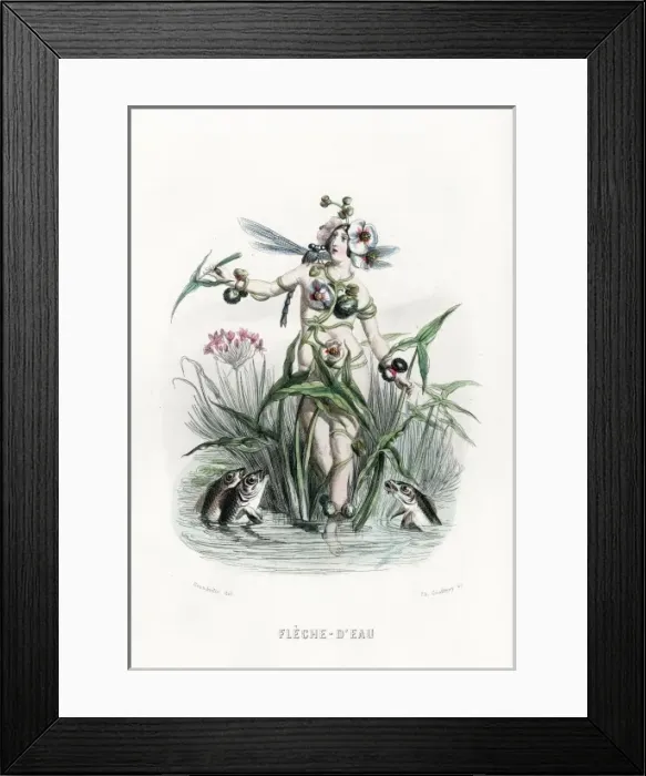 Framed Print : Grandville Reed 1847 Framed Print : Grandville Reed 1847