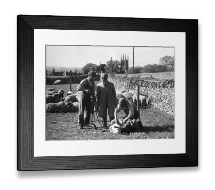 Framed Print : Shearing, Northamptonsh Framed Print : Shearing, Northamptonsh