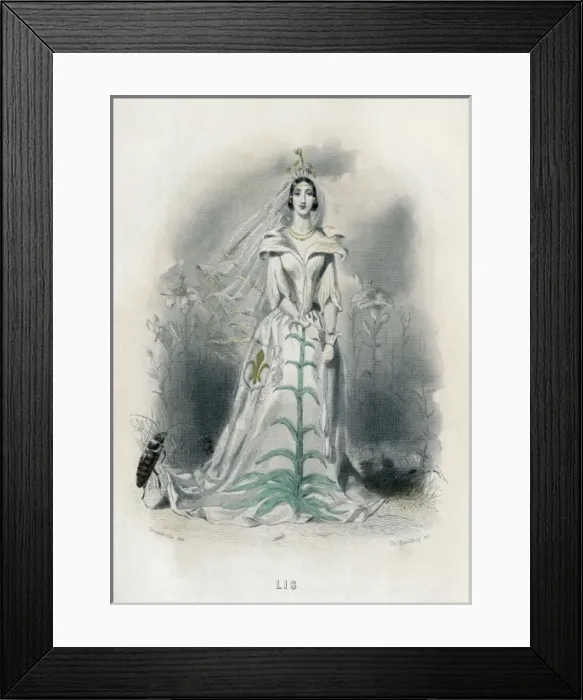Framed Print : Grandville Lily 1847 Framed Print : Grandville Lily 1847
