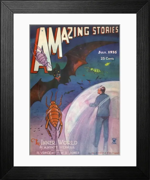 Framed Print : The Inner World Framed Print : The Inner World