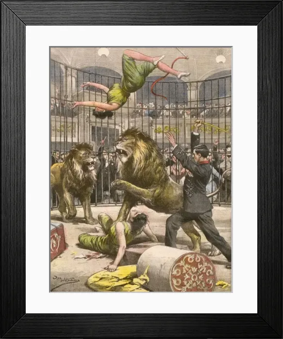 Framed Print : Acrobats Falls / Lion Cage Framed Print : Acrobats Falls / Lion Cage