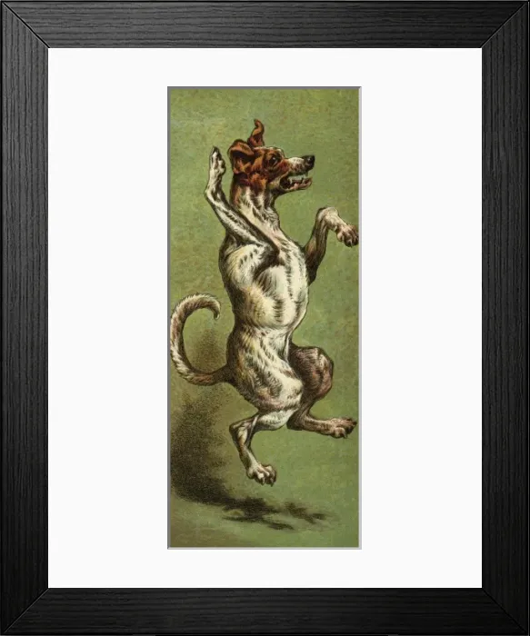 Framed Print : Mother Hubbard / Dancing Framed Print : Mother Hubbard / Dancing