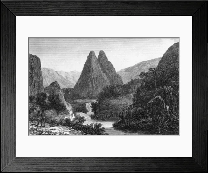 Framed Print : Reunion  /  Bason
