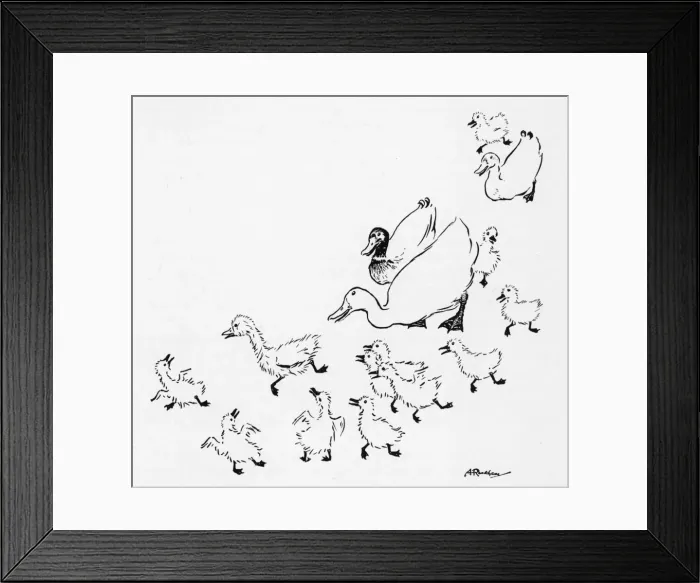 Framed Print : Ugly Duckling 1 Framed Print : Ugly Duckling 1