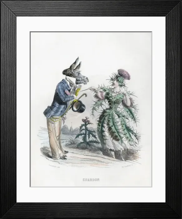Framed Print : Grandville Thistle 1847 Framed Print : Grandville Thistle 1847