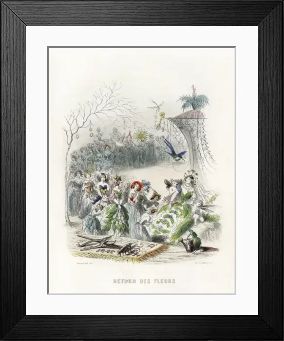 Framed Print : Retour Des Fleurs Framed Print : Retour Des Fleurs