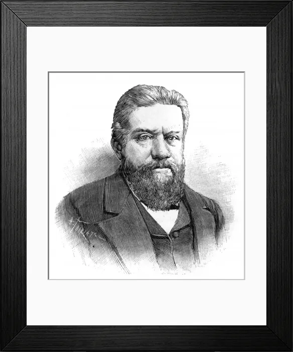 Framed Print : Hugo Gylden Framed Print : Hugo Gylden