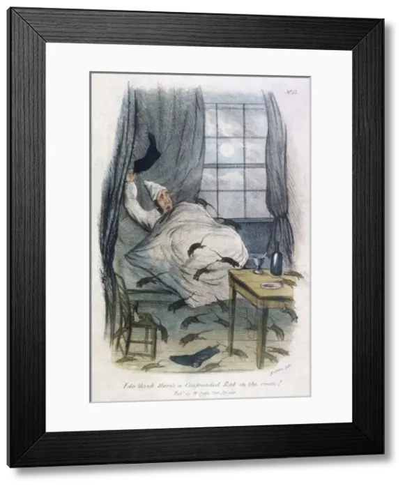Framed Print : Confounded Rat / Col Framed Print : Confounded Rat / Col