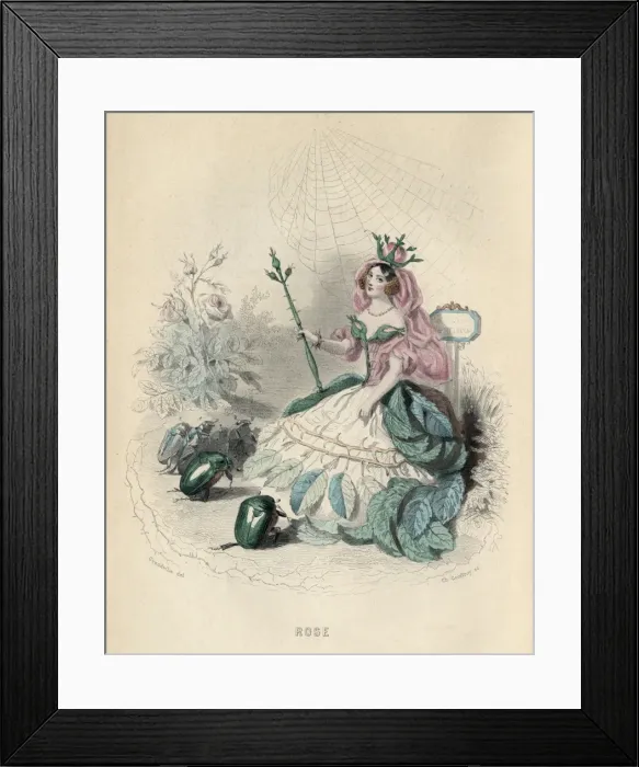 Framed Print : Grandville Rose 1847 Framed Print : Grandville Rose 1847