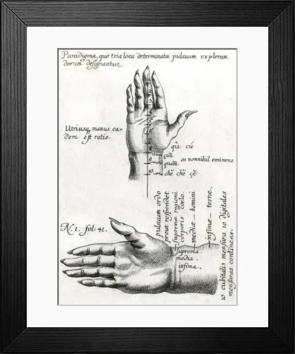 Framed Print : Chinese Pulse Therapy 2 Framed Print : Chinese Pulse Therapy 2