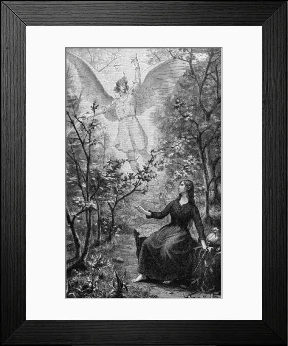 Framed Print : JEANNE D ARCs VISION Framed Print : JEANNE D ARCs VISION