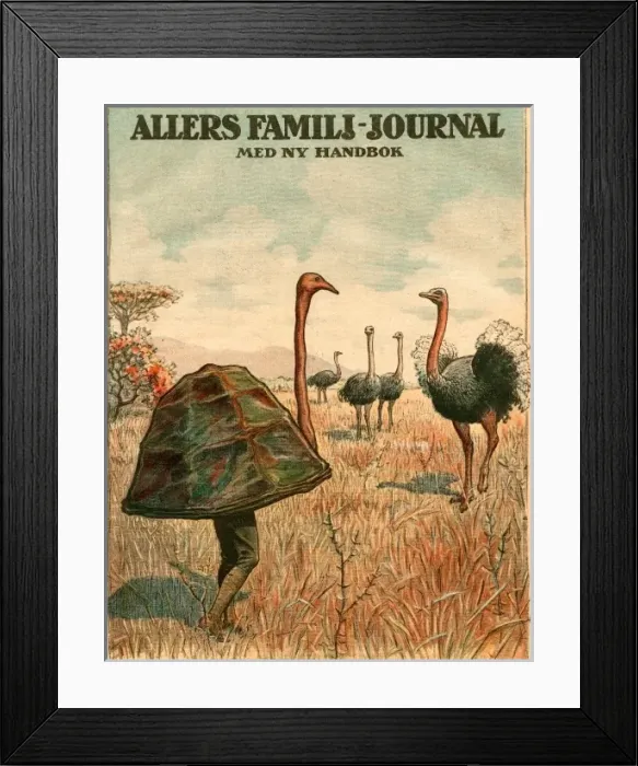 Framed Print : Disguise for Ostrich Pic Framed Print : Disguise for Ostrich Pic