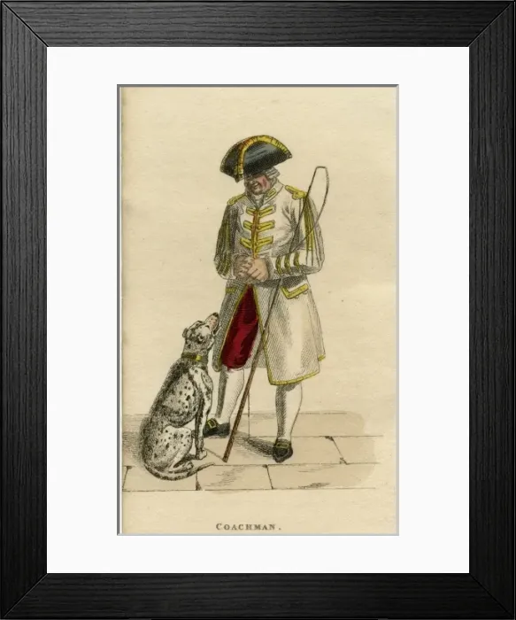 Framed Print : Coachmans Dalmatian Framed Print : Coachmans Dalmatian