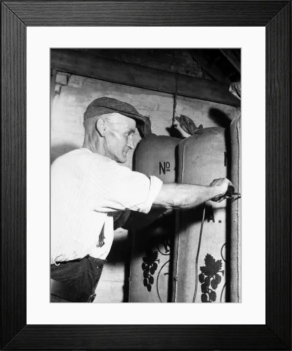 Framed Print : Testing Hop Condition Framed Print : Testing Hop Condition