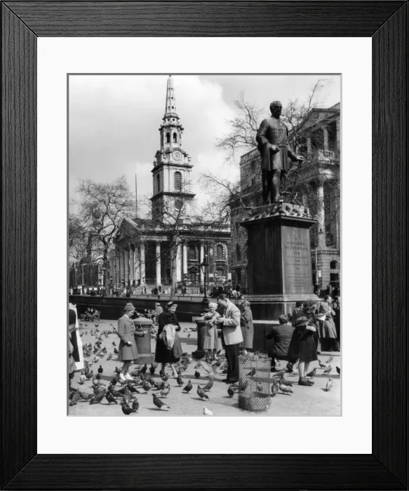 Framed Print : Feeding Pigeons 1950 Framed Print : Feeding Pigeons 1950