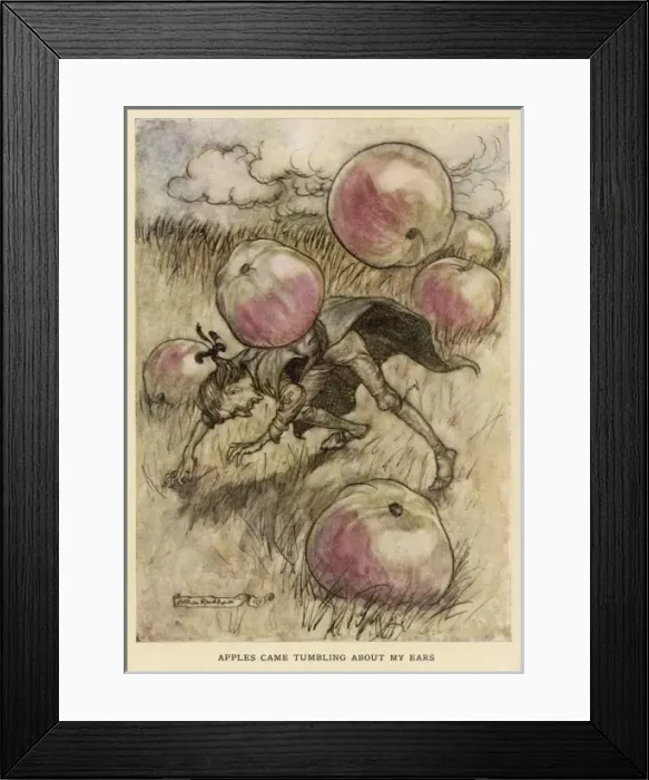 Framed Print : Gulliver & the Apples Framed Print : Gulliver & the Apples