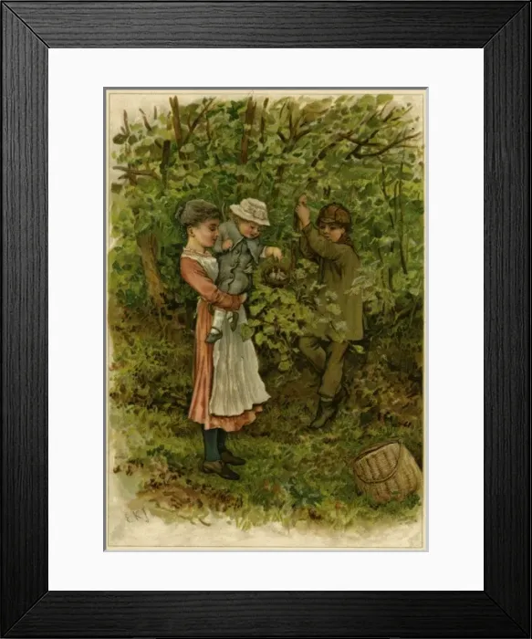 Framed Print : Looking at a Nest Framed Print : Looking at a Nest