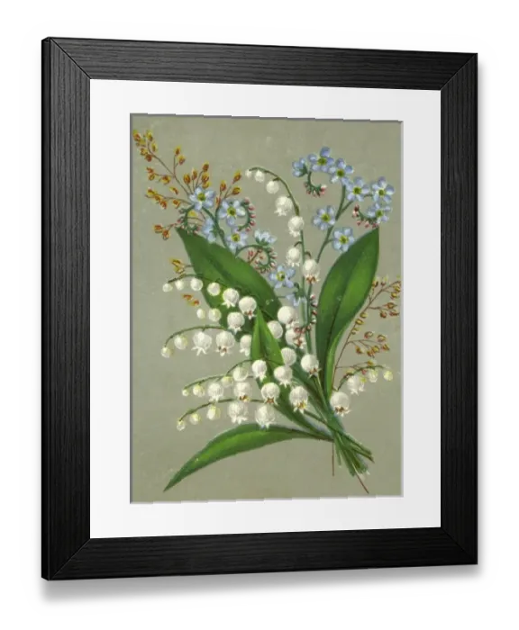 Framed Print : Convallaria Majalis Framed Print : Convallaria Majalis