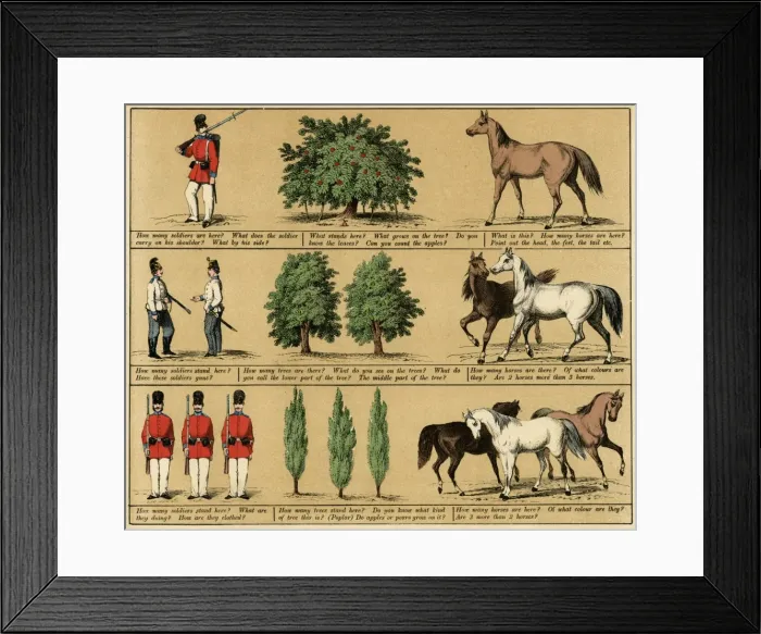 Framed Print : TEXTBOOK / 1880 / PLATE 1 Framed Print : TEXTBOOK / 1880 / PLATE 1