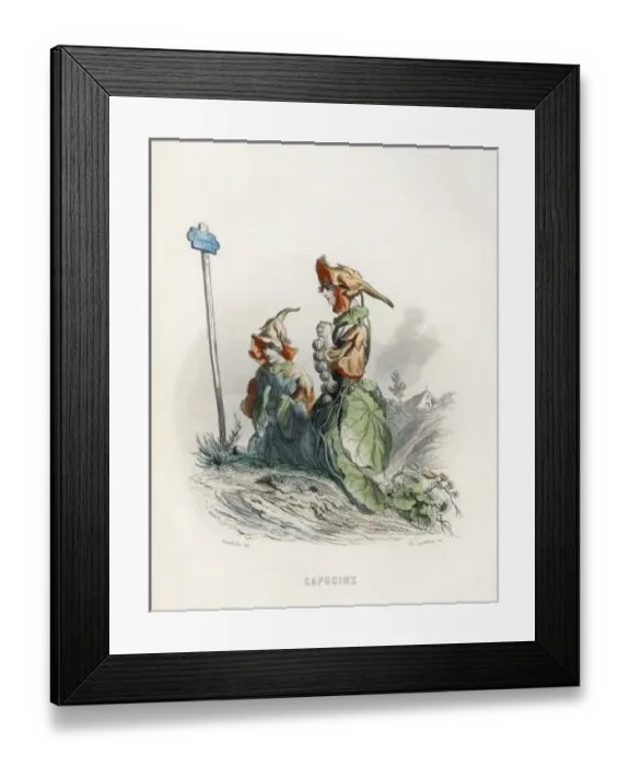 Framed Print : Grandville Nasturtium Framed Print : Grandville Nasturtium