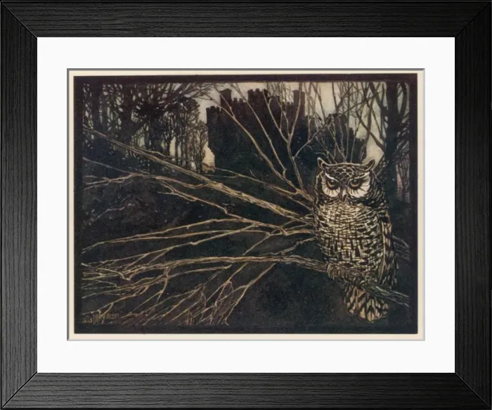 Framed Print : Jorinda as Owl (1) Framed Print : Jorinda as Owl (1)
