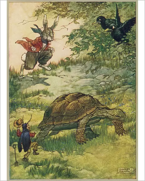 Tortoise and Hare (Fol)